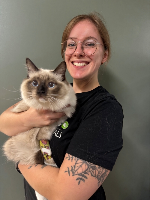 Lindsay Mattingly, RVT